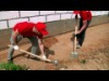 Мембрана профилированная PLANTER STANDARD 2х10 м